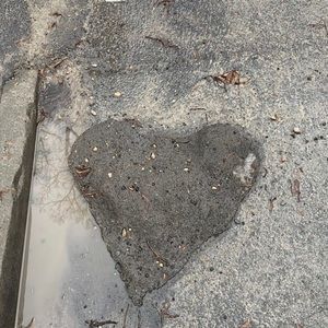 Meet your Posher, Ava